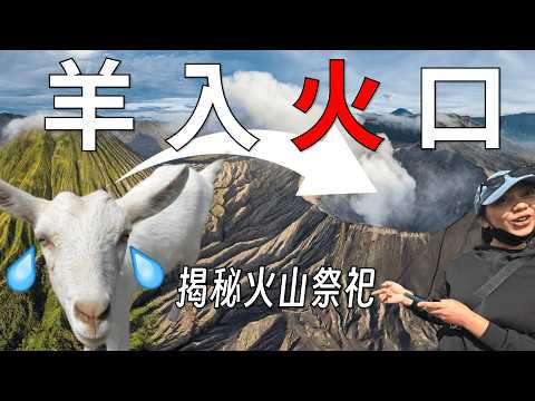 送羊入“火”口 | 揭秘印尼布羅莫bromo火山祭祀真相 | 卡薩達節全紀錄