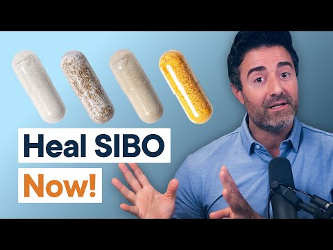 The Top Diet & Treatments to Heal SIBO