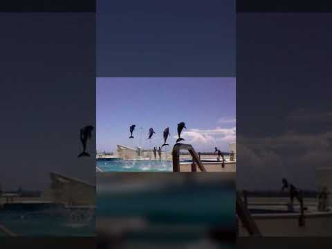 Photos I took on my 3DS in 2016