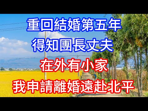 重回結婚第五年，得知團長丈夫在外有小家，我申請離婚遠赴北平