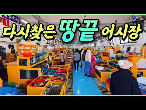 싱싱한 유혹의 시장~ 호객을 뚫고 시세정보 대방출!!! 고흥 최대어시장 가을에는 장어거리, 겨울에는 감성돔이 넘쳐나는곳~