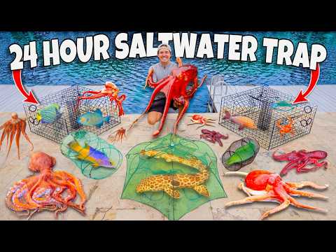 24 HOUR FISH TRAP Catches TONS of FISH For My SALTWATER POND! (Creepy OCTOPUS)