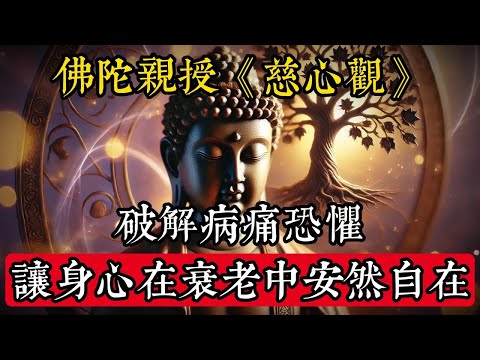 佛陀親授《慈心觀》破解病痛恐懼，讓身心在衰老中安然自在#佛學 #禪宗 #佛教哲學