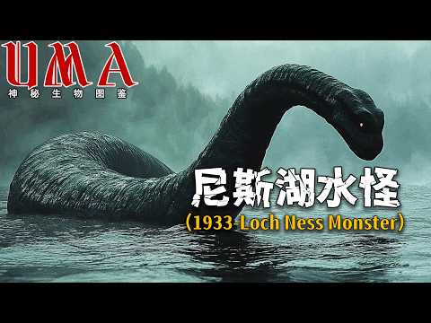 2024年最新目擊！遊客手機拍到「18米黑影」！尼斯湖水怪真身竟是「巨型鰻魚」？UMA未確認生物圖鑒 #未解之謎 #神秘生物 #揭秘 |迷蹤謎