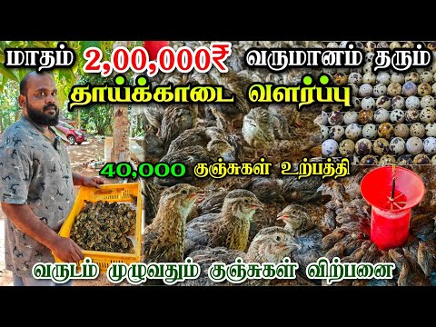 2இலட்சம் வருமானம் | 2Lacks Profit | தாய்காடை, கறிக்காடை வளர்த்தால் இரட்டிப்பு இலாபம் | Quail farming