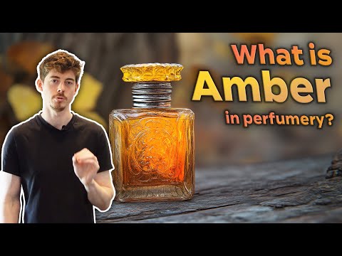 The 4 types of AMBER in perfumery