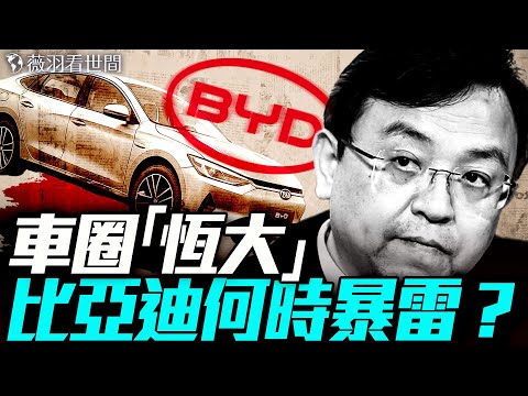 零公里二手車？比亞迪造假內幕！涉人口販賣？比亞迪海外滑鐵盧！｜薇羽看世間 20250605