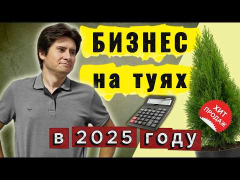 Как заработать на туях? Реальный бизнес на даче в 2025 году