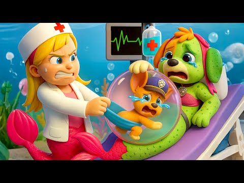 OMG! Mermaid Nurse Helps Give Birth to Chase! | PAW Patrol Ultimate Rescue | Rainbow 3