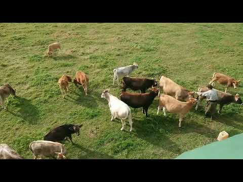 21 сентября 2024 г.