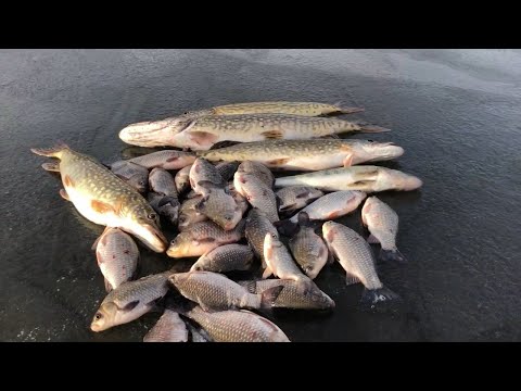 Знайшли стоянку риби.Рибалка мрії.