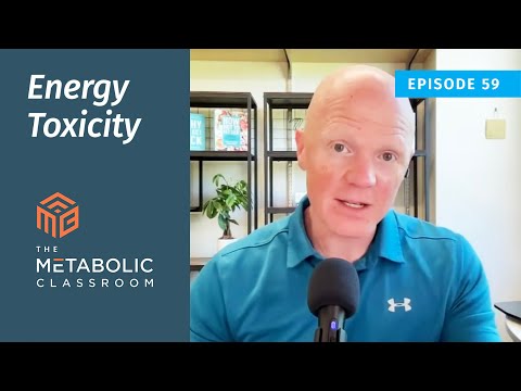 59: Energy Toxicity and Insulin Resistance with Dr. Ben Bikman