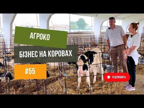 #55 ВРХ🐄 Як працює коров’яча ферма 🚜Комбікормовий завод, корови та телята 🐮