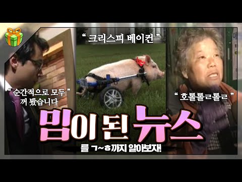 밈이 된 뉴스 : 뉴스로만 남기에는 너무 아깝다!