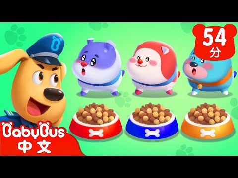 【新劇集】免費領養寵物騙局 | 車車 | 動畫 | Kids Cartoon | 安全教育 | 安全警長啦咘啦哆 | 寶寶巴士 BabyBus