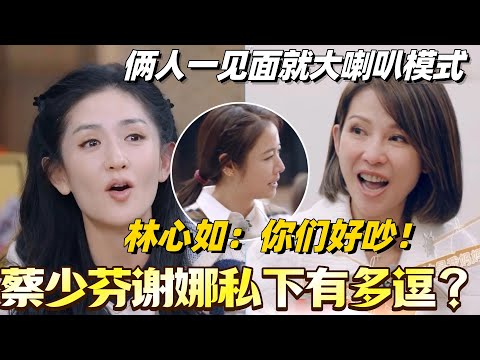 蔡少芬谢娜私下有多逗？俩人一见面就大喇叭模式 ！林心如：你们好吵！#林心如 #我们的美好生活 #蔡少芬 #谢娜