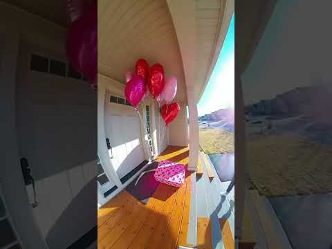 Valentine Porch Pirate Revenge ♥️