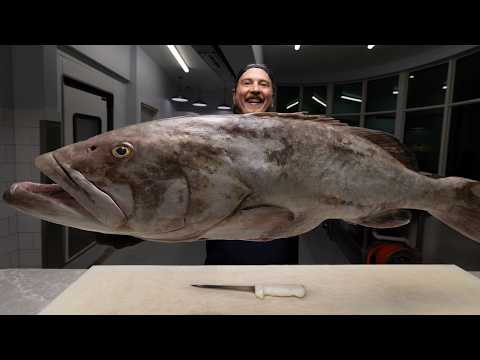 The Most Expensive Fish in Florida