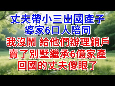 丈夫帶小三出國產子，婆家6口人陪同，我沒鬧 給他們辦理銷戶，賣了別墅繼承6億家產，回國的丈夫傻眼了#為人處世#生活經驗#情感故事#故事#小說#戀愛#情感#婚姻