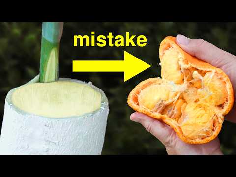 Never Graft Oranges to a Lemon Tree