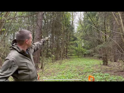 ТАКИЕ НАХОДКИ НЕЛЬЗЯ ПОКАЗЫВАТЬ !!! Что я нашел в проклятом лесу !!!