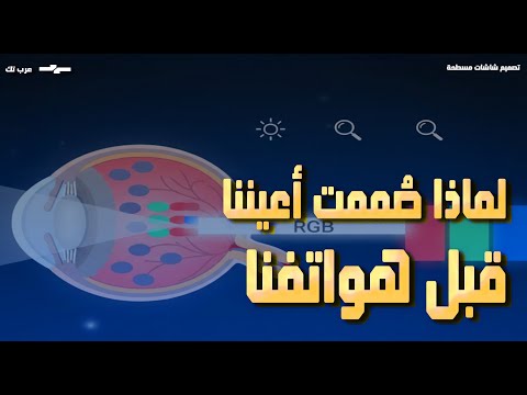 هندسة الشاشات: لماذا صُممت أعيننا قبل هواتفنا؟
