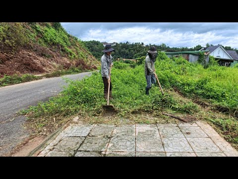 Everyone Is Excited And Happy To See The Sidewalk Gradually Revealed Beneath The Thorny Bushes