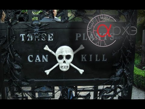 Алексей Водовозов: "Этот ядовитый мир"