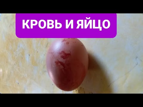 КРОВЯНОЕ ЯЙЦО , ЧТО ДЕЛАТЬ?