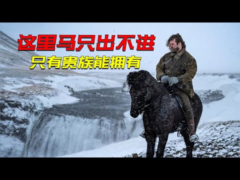 這裡的馬血統千年未變，馬在島上只出不進，從前只有貴族才能擁有