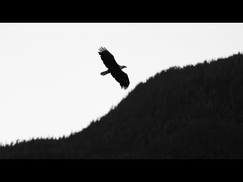 Cinematography Reel - Samuel Foss