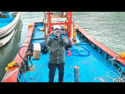 등산하고왔더니 주낙가자는 김선장님 #텃밭 #보길도 #낚시 #함박눈