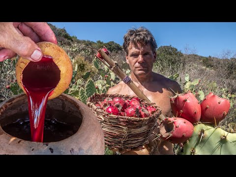 Big Prickly Pear Crop, Juice and Drying Shelf at Primitive Hut