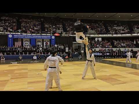 Full ver. 2025 World Taekwondo Hanmadang Demo Team performance