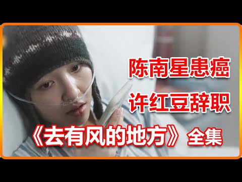 闺蜜陈南星患癌去世 许红豆辞职完成闺蜜心愿【去有風的地方】