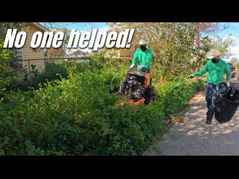 Homeowner returns from HOSPITAL to find his YARD has become a JUNGLE!