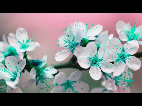 He Knows You’re Tired.