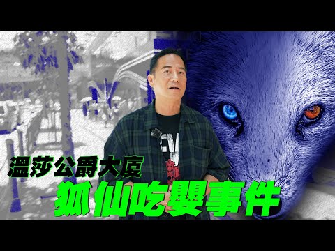 【都市傳說】溫莎公爵大廈狐仙吃嬰事件｜乜乜棠水舖