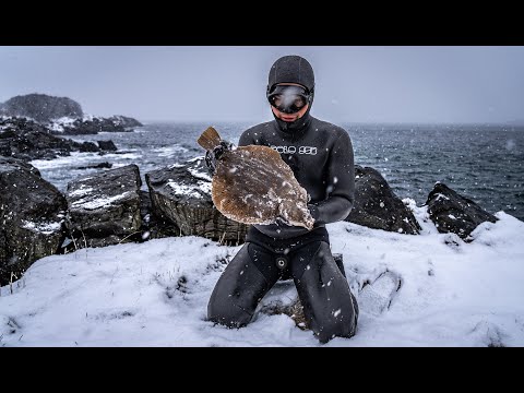 When is it too COLD? Spearfishing Remote Arctic Norway 🇳🇴 in Winter.