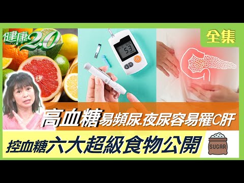 炮哥突倒下猝死 糖尿病 心臟病 洗腎 纏身！ 高血糖易頻尿 夜尿！ 糖友罹C肝高於全球！健康2.0 20230319【完整版】鄭凱云 袁明琦 江守山 吳宏乾 洪素卿 雷議宗@tvbshealth20