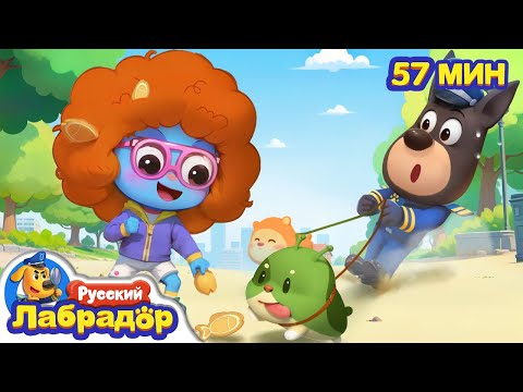 🦖Выгуливайте питомцев на поводке! | ⚠️Безопасность для детей | 🔍Сборник мультиков  | Шериф Лабрадор