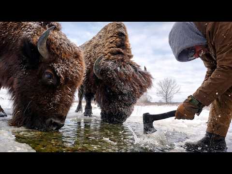 We Left for the Sale in Denver… Then This Happened