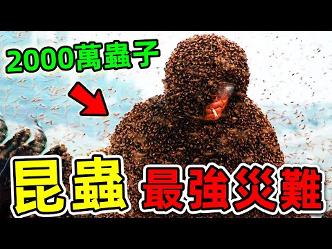 全世界最可怕的10種昆蟲災難！蝗災只能排第三，第一名看見趕緊跑！|#世界之最top #世界之最 #出類拔萃 #腦洞大開 #top10 #昆蟲災難 #可怕災難