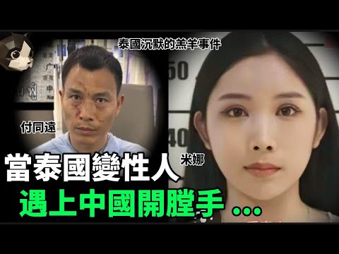 「粵語廣東話」警方趕到現場 , 發現受害人躺在浴室內 , 身體胸口完全打開 , 胸部矽膠被取出 , 部分內臟更加離奇失蹤 , 而原因竟然是 ? 泰國沉默的羔羊事件 - 聽播版本 - 貓哥哥【頭盔說案】