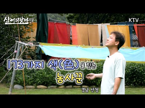 (경남 산청) 173가지 색을 짓는 농사꾼, 염색장인! ktv, koreatv, dyeing, nature, tradition, culture ecofriendly (시즌4)