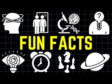 3 Hours of Random Fun Facts To Fall Asleep to