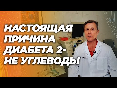 Настоящая причина диабета 2 типа не сахар и углеводы. В чем причина и как справиться.