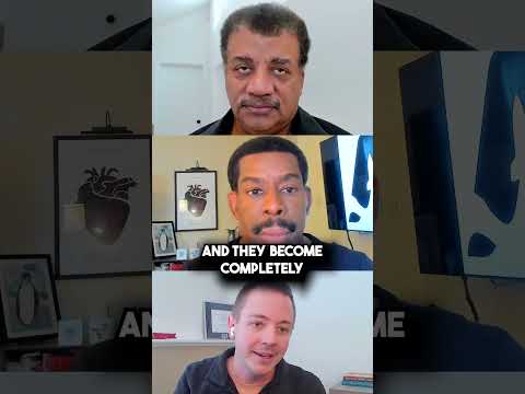 "Squirrels’ hibernation could help solve diabetes? 🐿️