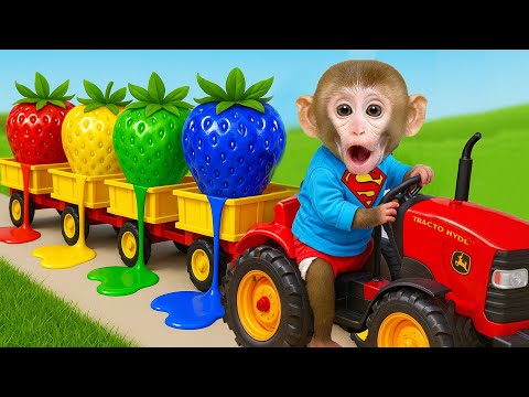 小猴子 BonBon 的驚喜生日禮物，朋友的神秘計畫大揭曉！– BonBon 台灣