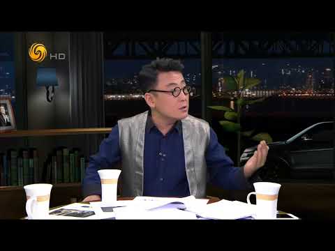 《锵锵三人行》20170310 宋丹丹两会上抨击小鲜肉现象（许子东 周轶君）